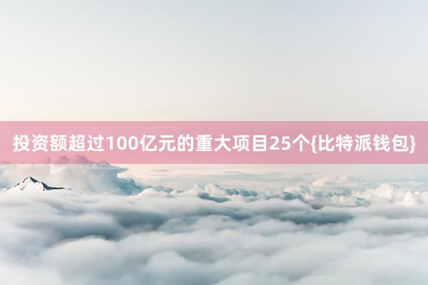 投资额超过100亿元的重大项目25个{比特派钱包}