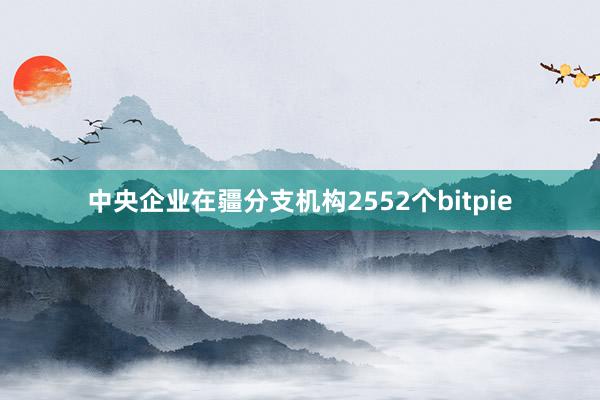 中央企业在疆分支机构2552个bitpie