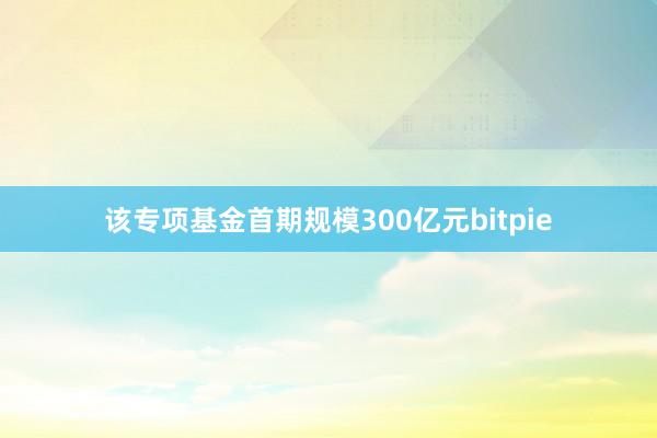 该专项基金首期规模300亿元bitpie