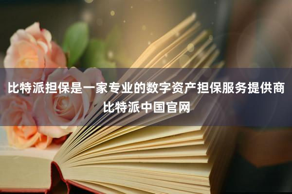 比特派担保是一家专业的数字资产担保服务提供商比特派中国官网