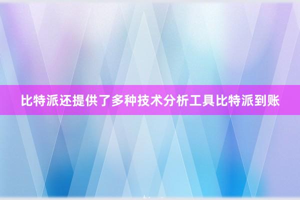 比特派还提供了多种技术分析工具比特派到账