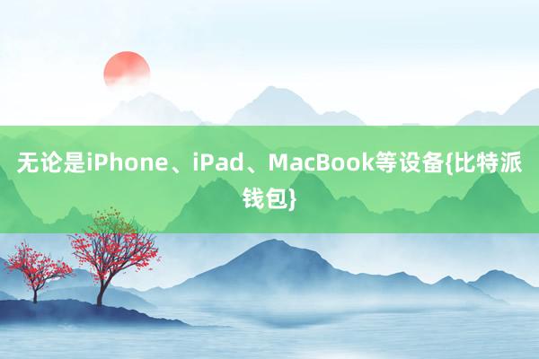 无论是iPhone、iPad、MacBook等设备{比特派钱包}