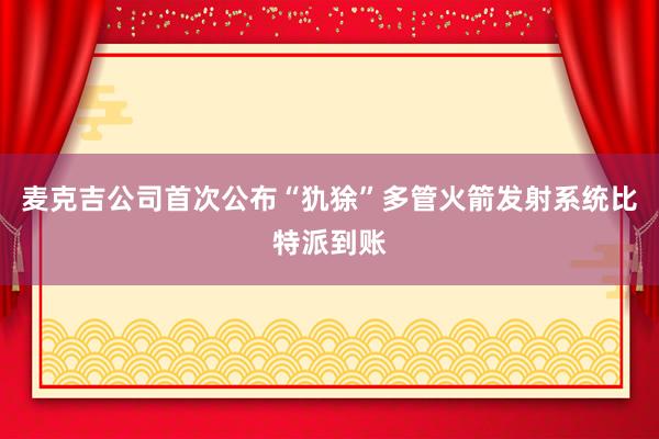 麦克吉公司首次公布“犰狳”多管火箭发射系统比特派到账