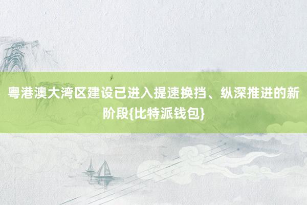 粤港澳大湾区建设已进入提速换挡、纵深推进的新阶段{比特派钱包}