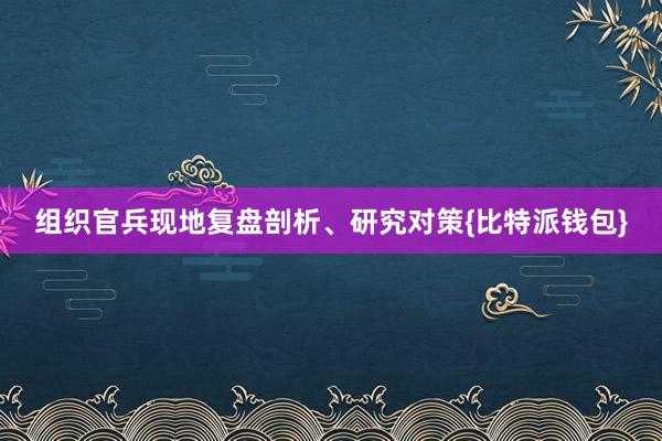 组织官兵现地复盘剖析、研究对策{比特派钱包}