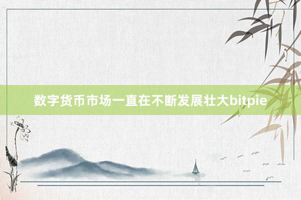 数字货币市场一直在不断发展壮大bitpie