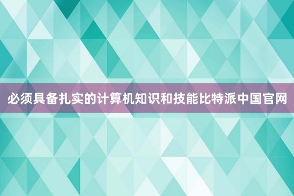 必须具备扎实的计算机知识和技能比特派中国官网