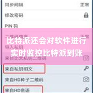 比特派还会对软件进行实时监控比特派到账