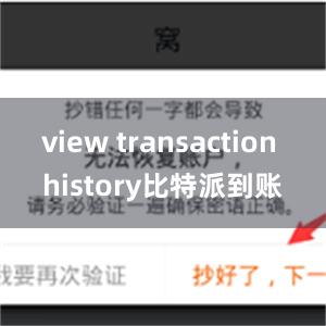 view transaction history比特派到账