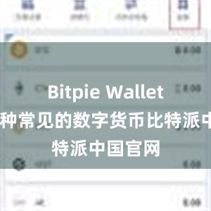 Bitpie Wallet 支持多种常见的数字货币比特派中国官网