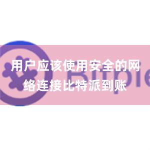 用户应该使用安全的网络连接比特派到账